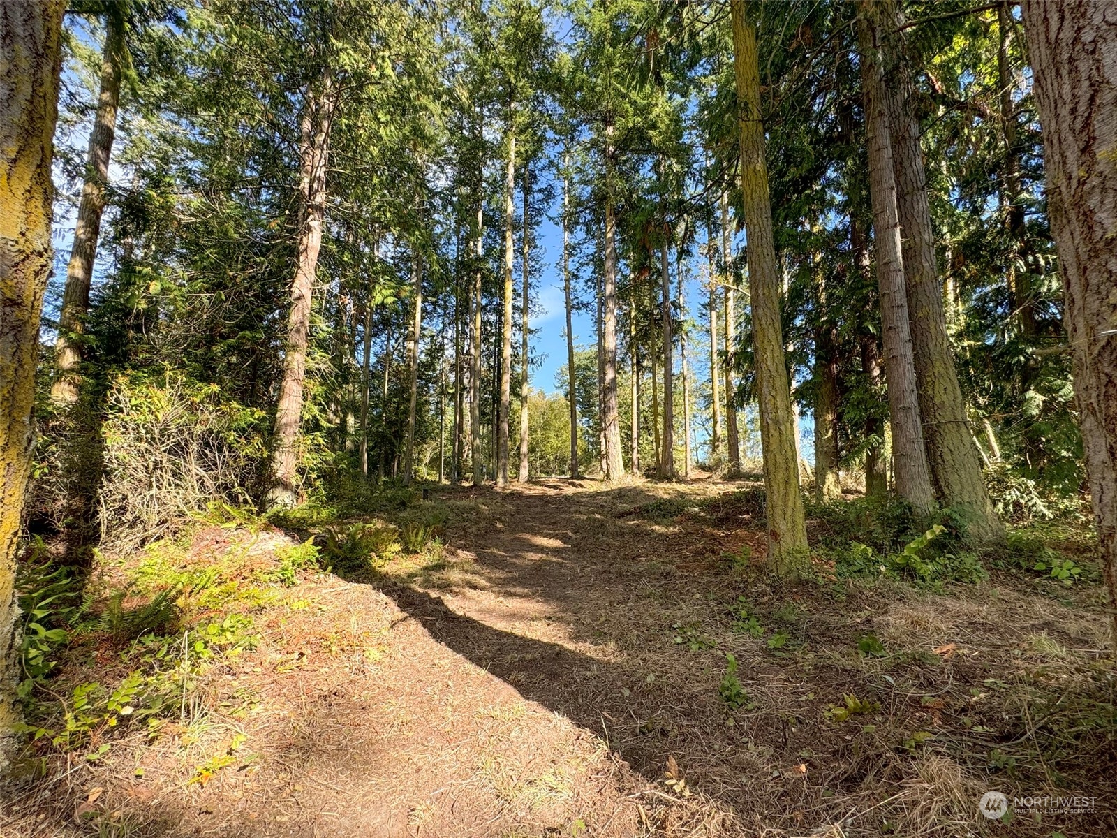 795 East Sequim Bay Road Sequim, WA 98382 - Photo 27 of 36 a view of road and trees
