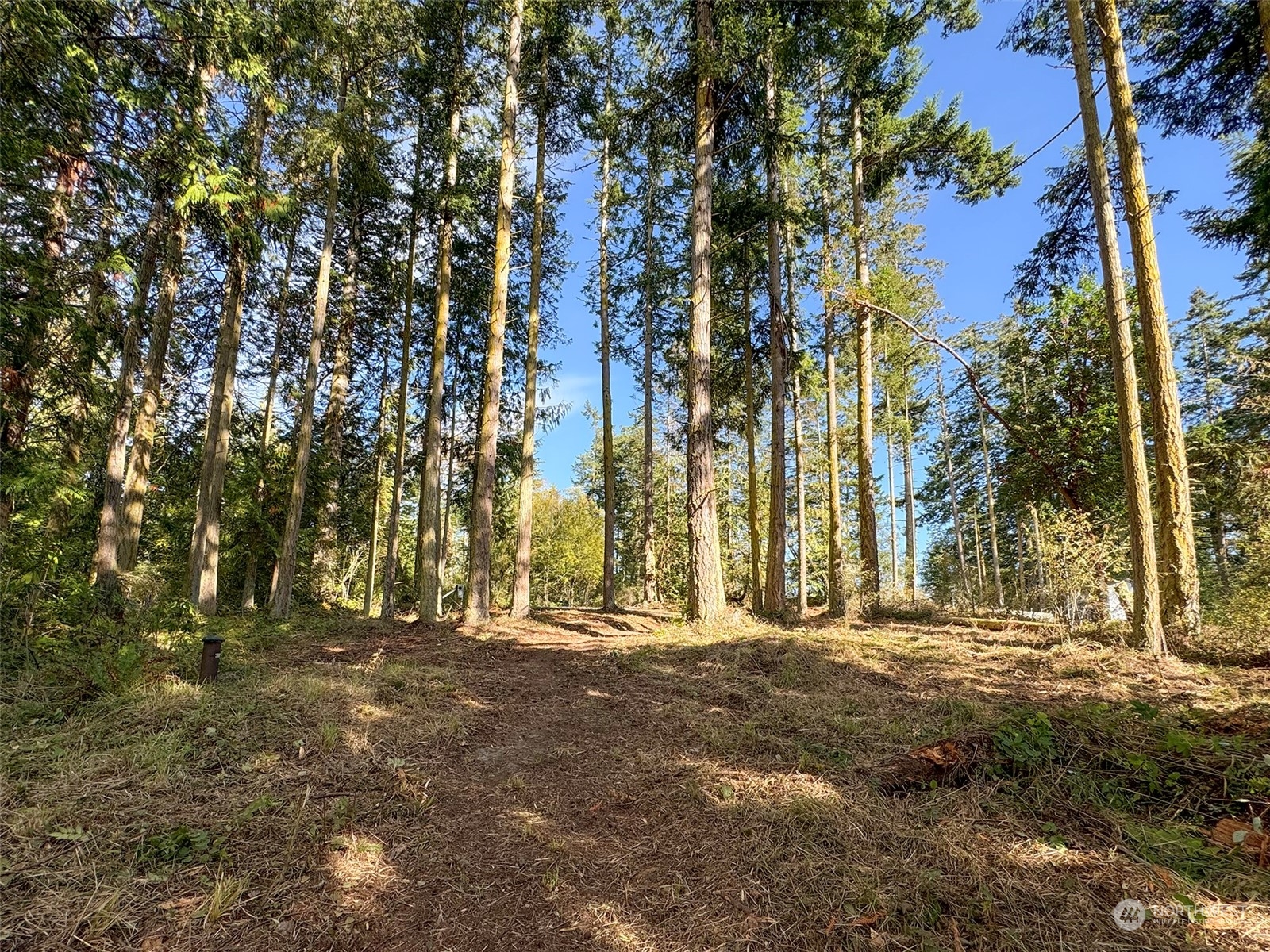 795 East Sequim Bay Road Sequim, WA 98382 - Photo 28 of 36 a view of outdoor space with trees
