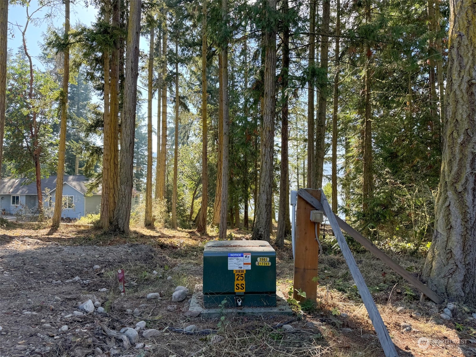 795 East Sequim Bay Road Sequim, WA 98382 - Photo 6 of 36 a view of a fire pit with large trees