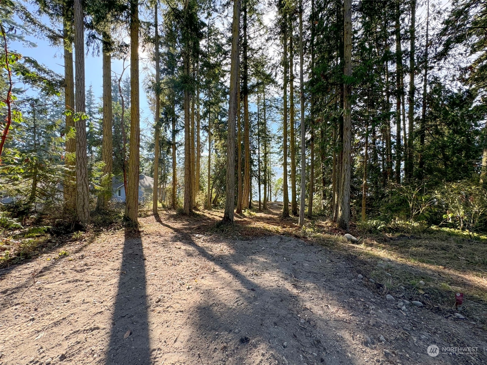 795 East Sequim Bay Road Sequim, WA 98382 - Photo 8 of 36 a view of a park with large trees