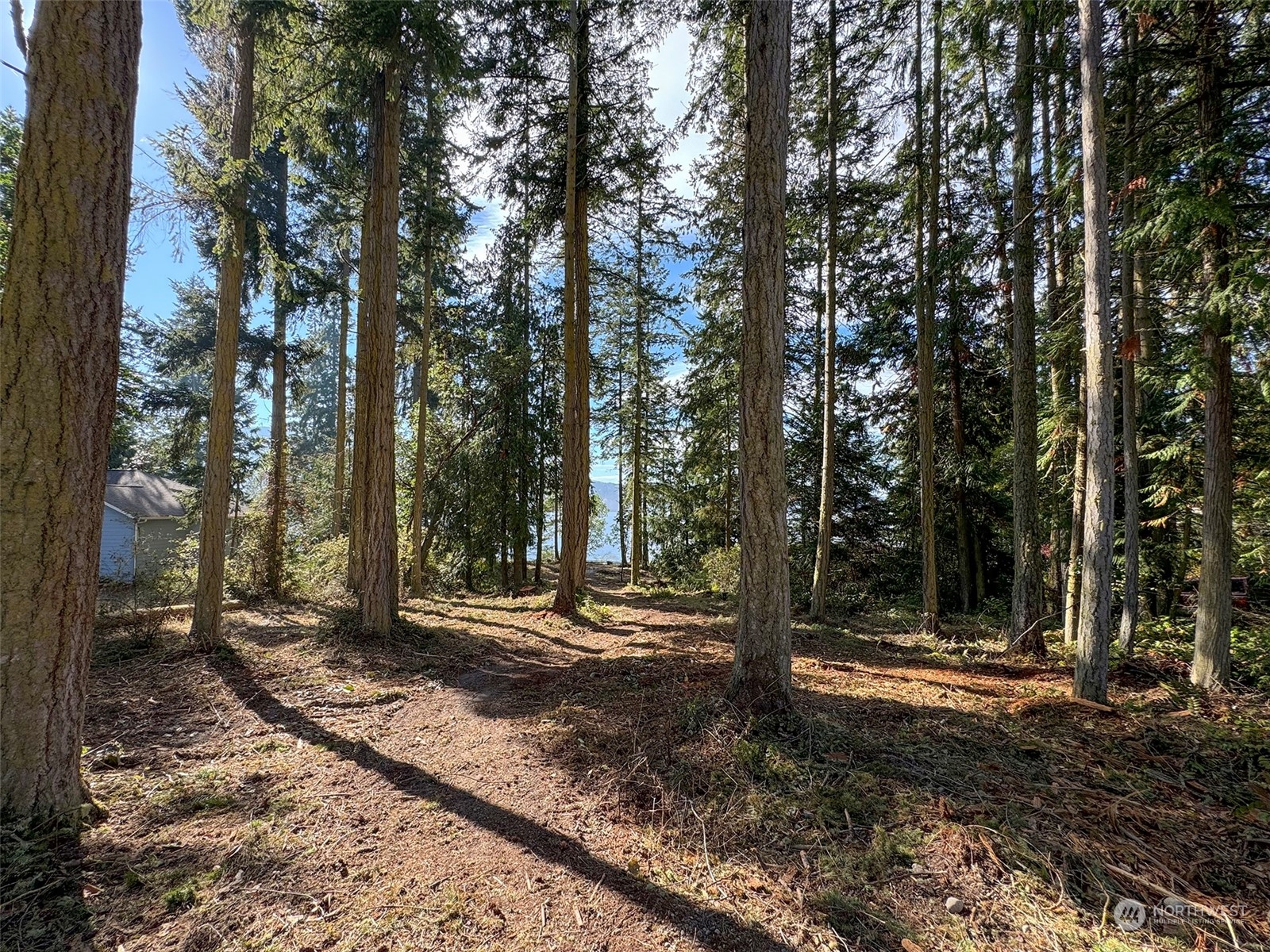 795 East Sequim Bay Road Sequim, WA 98382 - Photo 9 of 36 a view of a tree in the middle of a yard