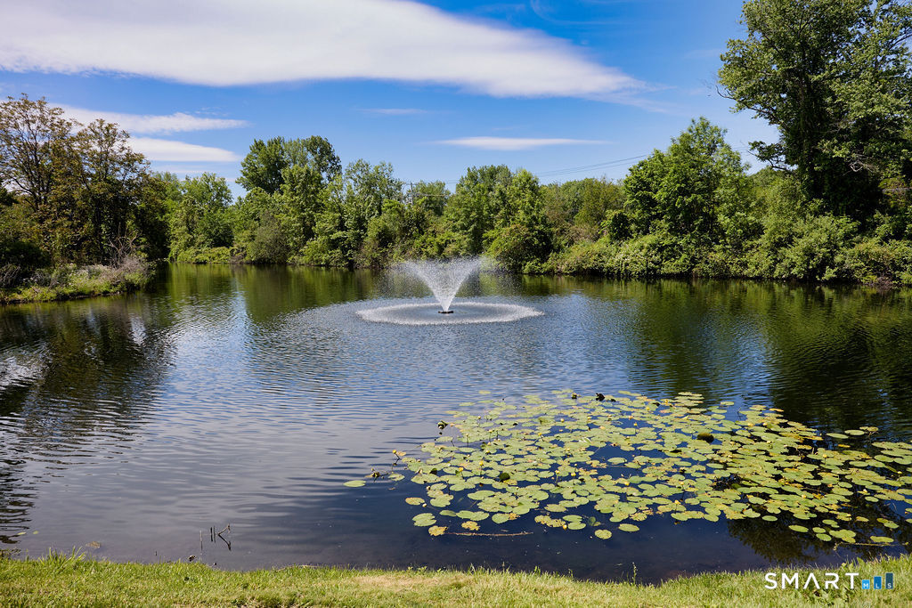 6 Hollyberry Lane, Unit 6 Ridgefield, CT 06877 - Photo 21 of 31 Pond View