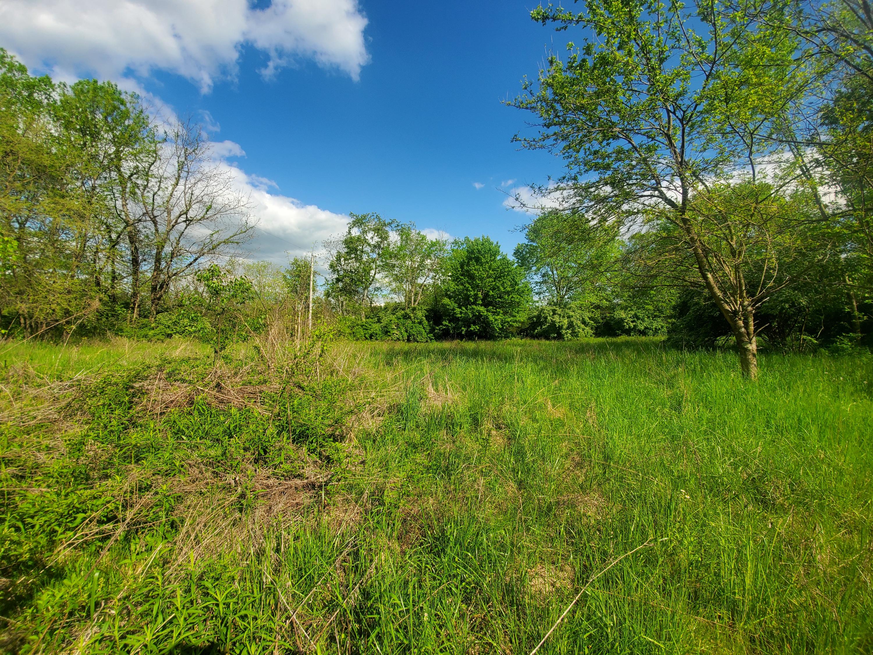 2693 Clintonville Road Paris, KY 40361 - Photo 1 of 47 20210505_170642