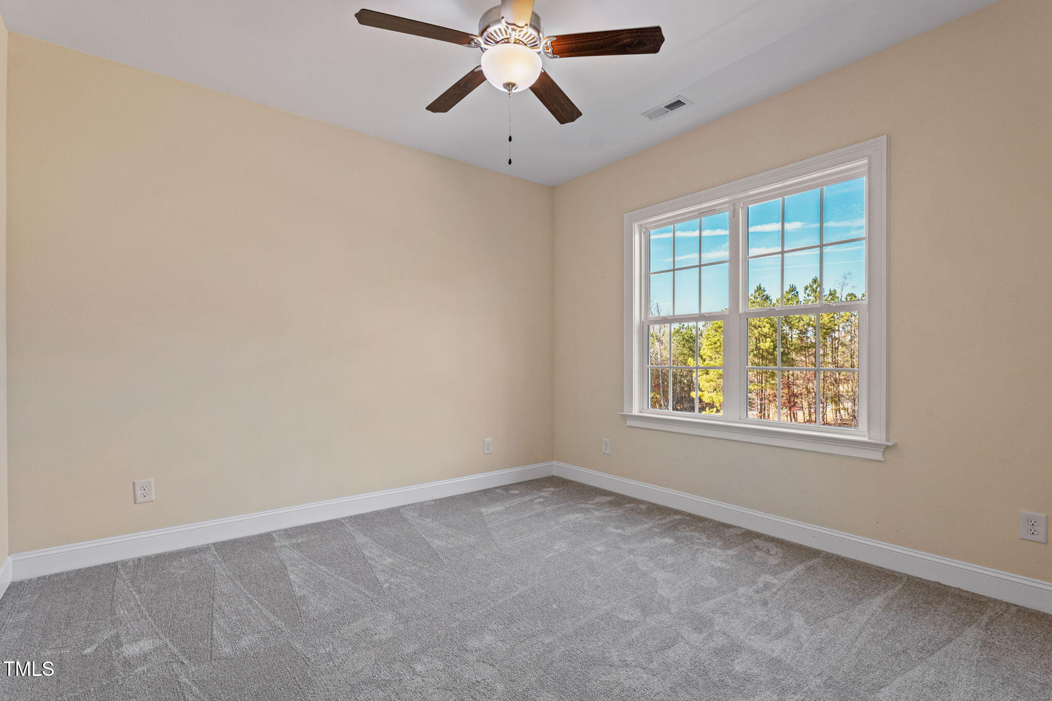 1360 Cedar Grove Road Pittsboro, NC 27312 - Photo 54 of 66 66-web-or-mls-P1304659