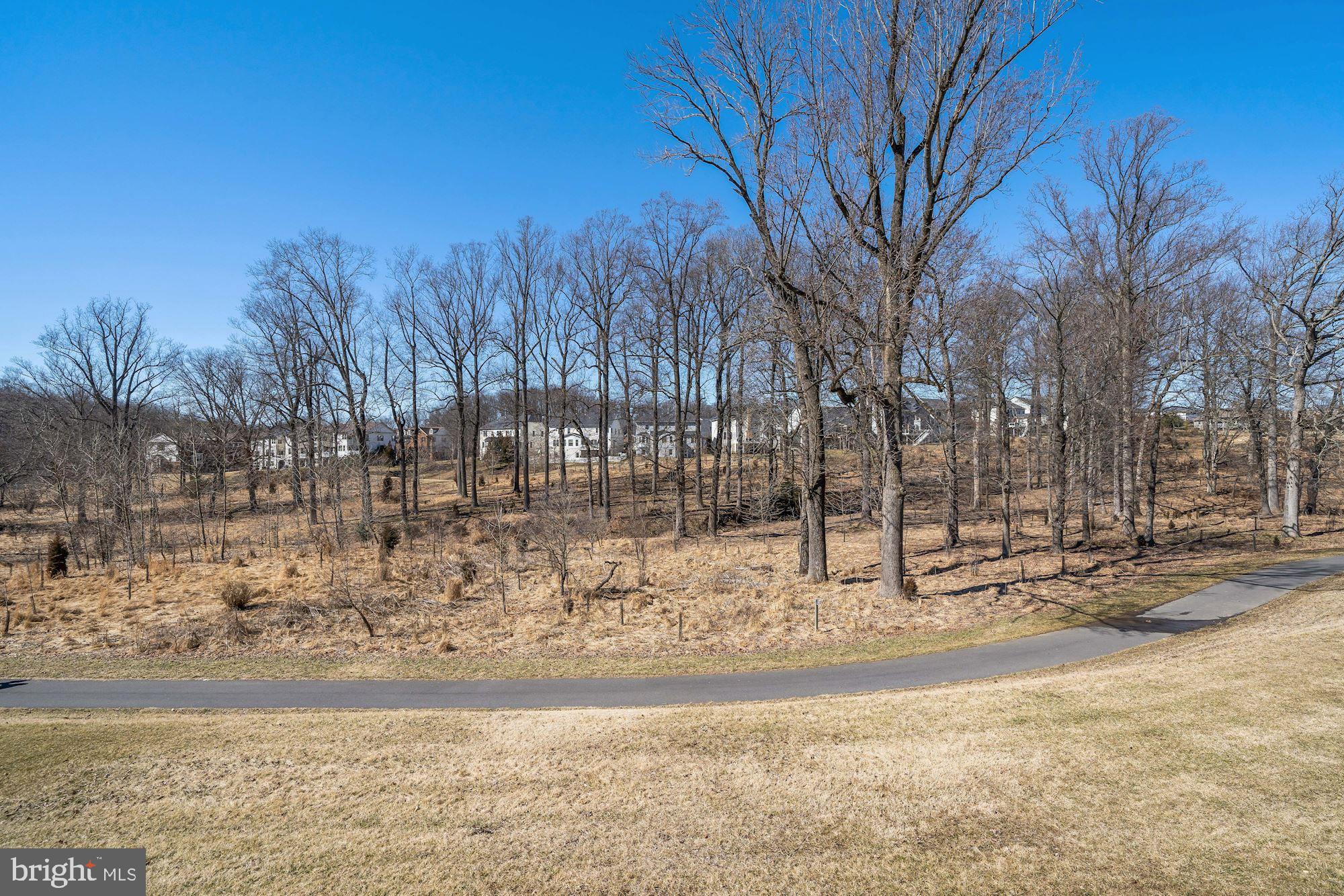 13421 Redspire Drive Silver Spring, MD 20906 - Photo 54 of 67