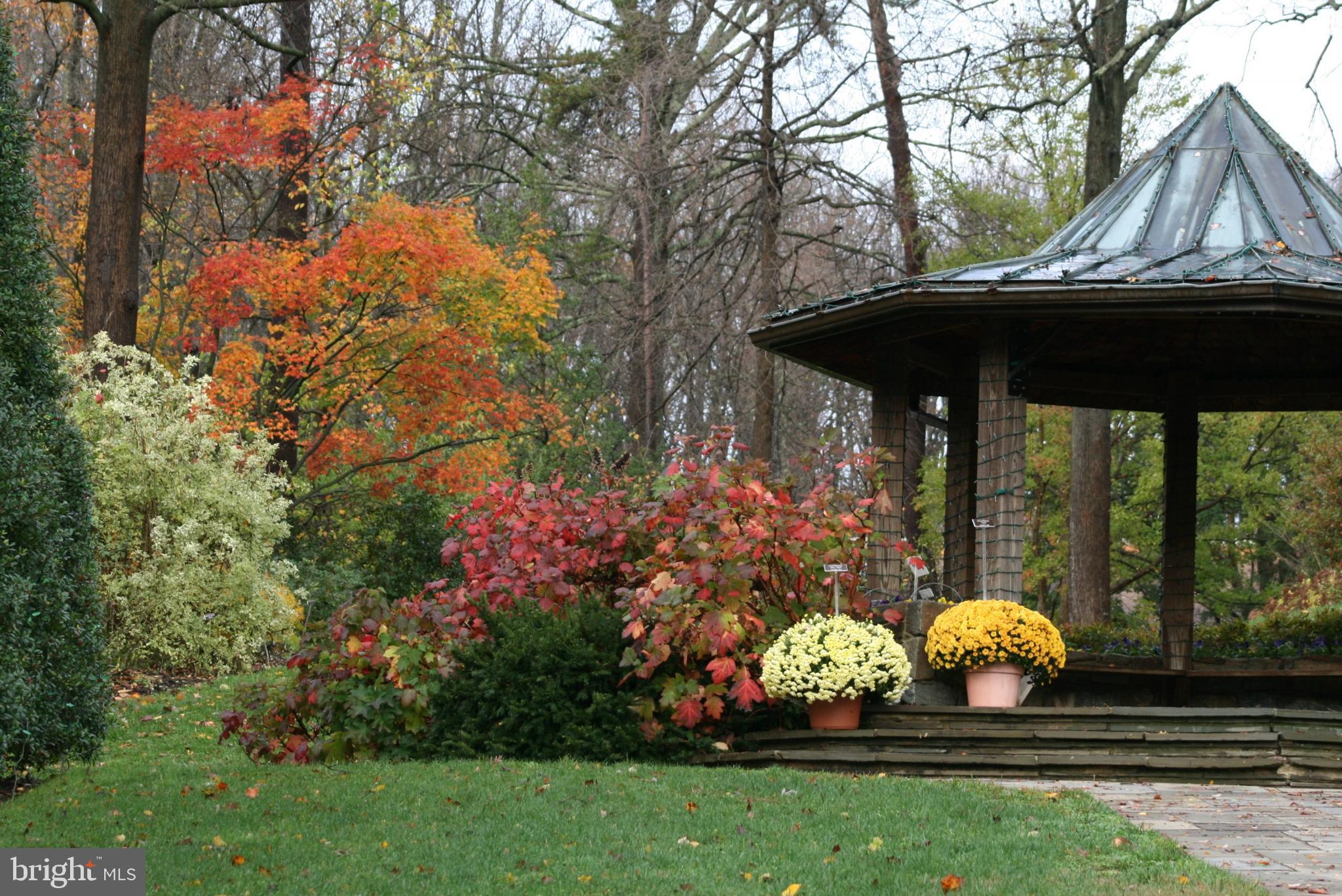 13421 Redspire Drive Silver Spring, MD 20906 - Photo 62 of 67 Brookside Gardens in the Fall