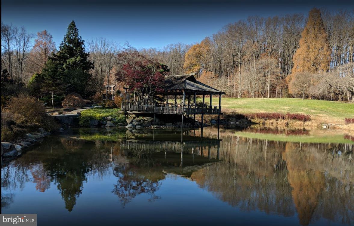 13421 Redspire Drive Silver Spring, MD 20906 - Photo 63 of 67 Brookside Garden in the Winter