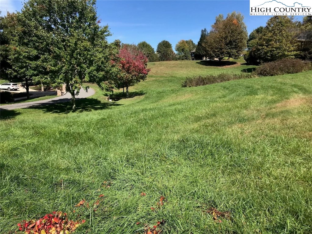 49 Olde Charter Circle Jefferson, NC 28640 - Photo 2 of 11