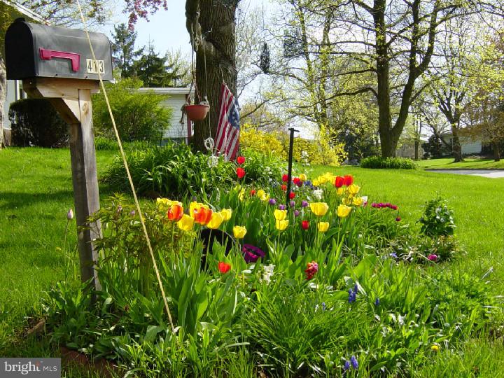 413 Atwood Road Glenside, PA 19038 - Photo 15 of 15 View from Front Door