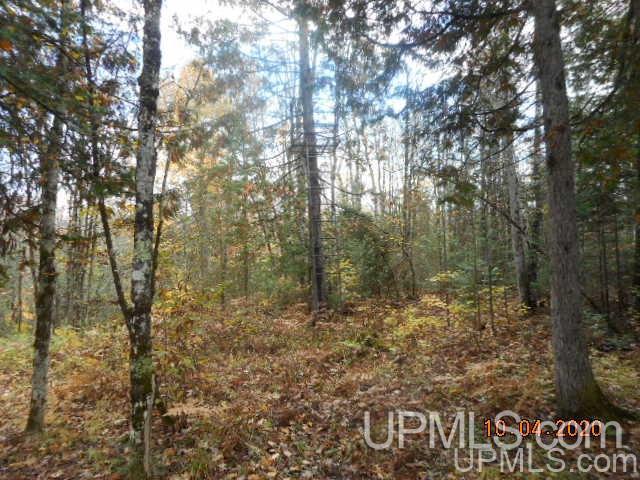 28662 South Wasas Road Mass City, MI 49948 - Photo 10 of 13