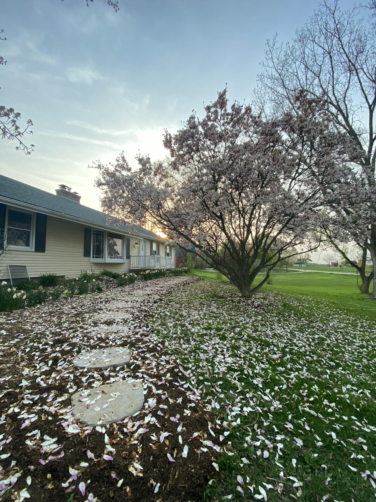 4750 West Ellsworth Road Ann Arbor, MI 48103 - Photo 5 of 63 IMG_0298_84373cad-85d0-404e-9061-32500cf