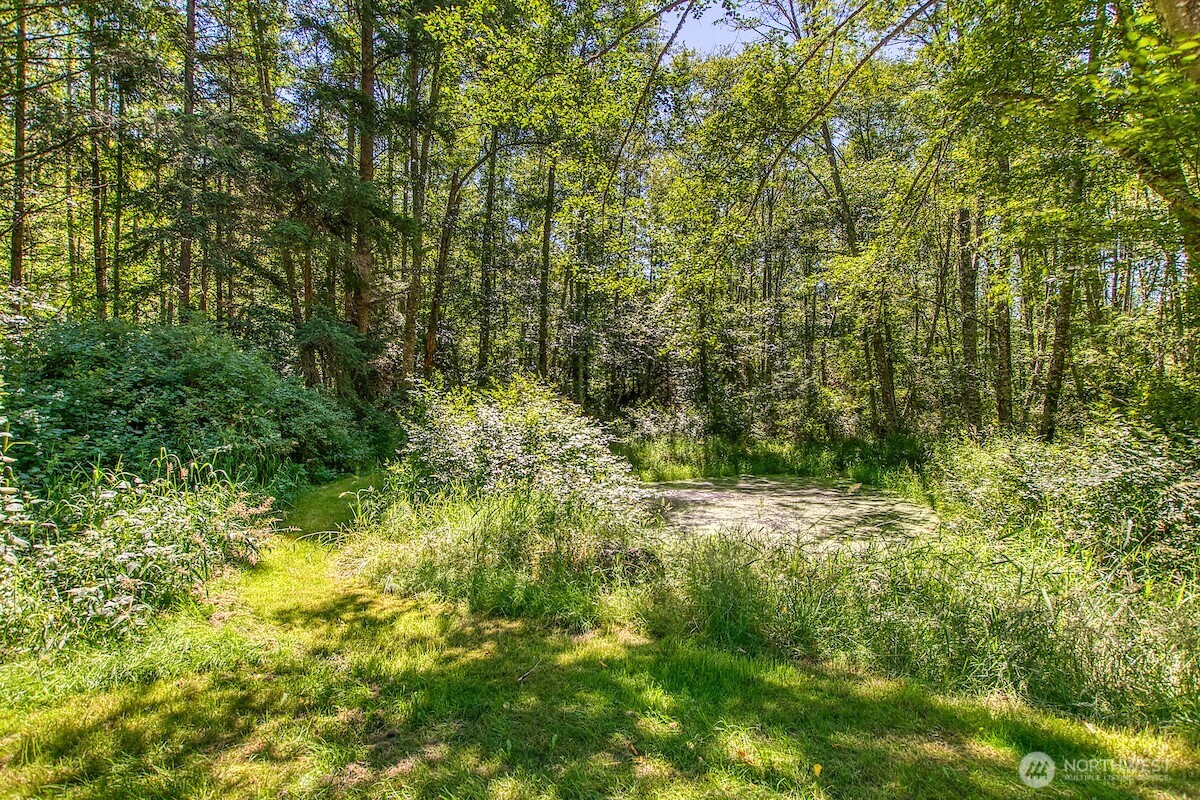 716 Point Lawrence Road Orcas Island, WA 98279 - Photo 40 of 40 Gallery Image 40