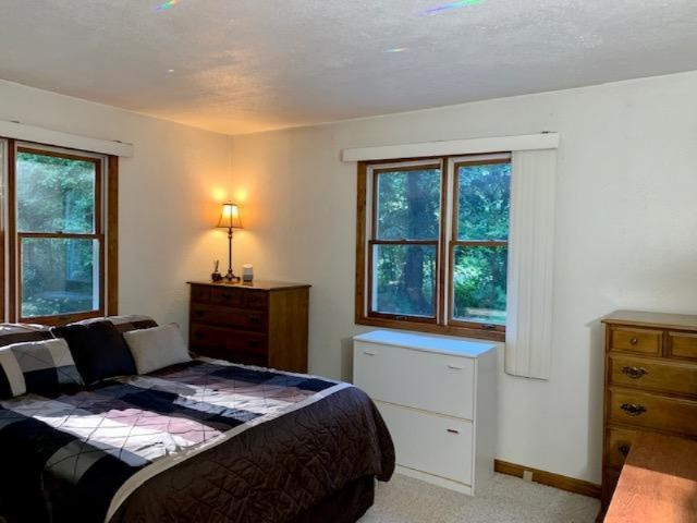 11686 Kruse Road Petersburg, MI 49270 - Photo 13 of 29 IMG_1947
