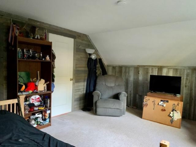 11686 Kruse Road Petersburg, MI 49270 - Photo 26 of 29 IMG_1961