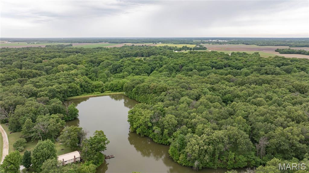 12678 Catholic Springs Road Bunker Hill, IL 62014 - Photo 3 of 43