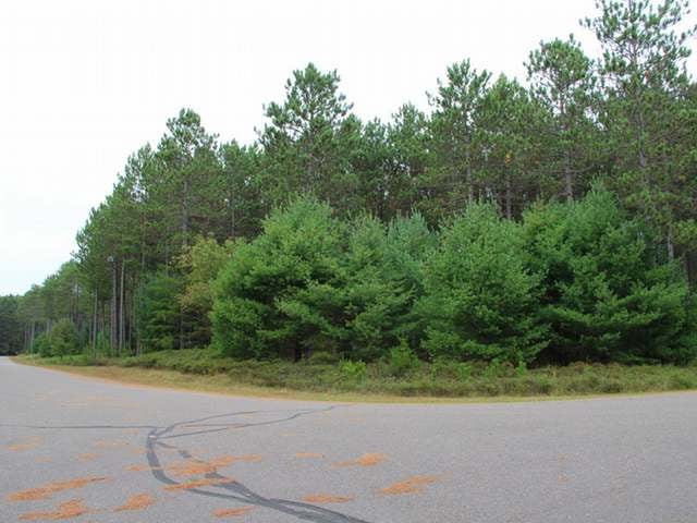 Lot 49 Bosshard Cir Road Woodruff, WI 54568 - Photo 8 of 20 Gallery Image 8