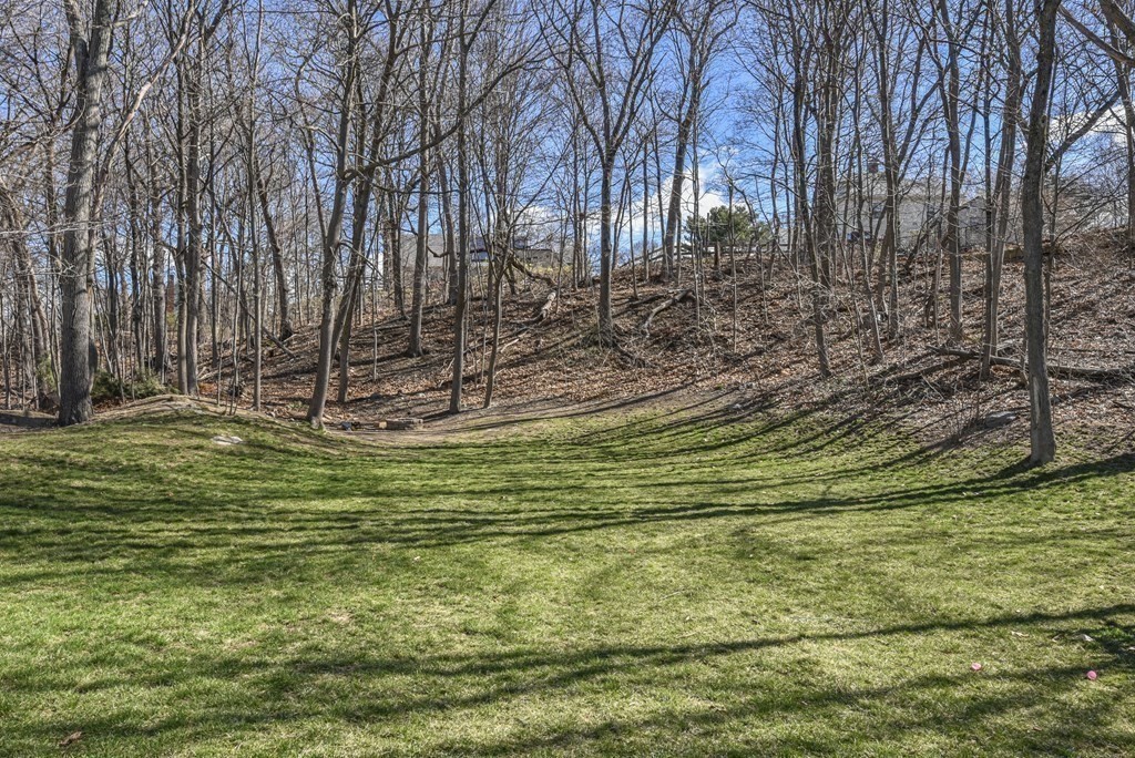 205 Curve Street Dedham, MA 02026 - Photo 32 of 35