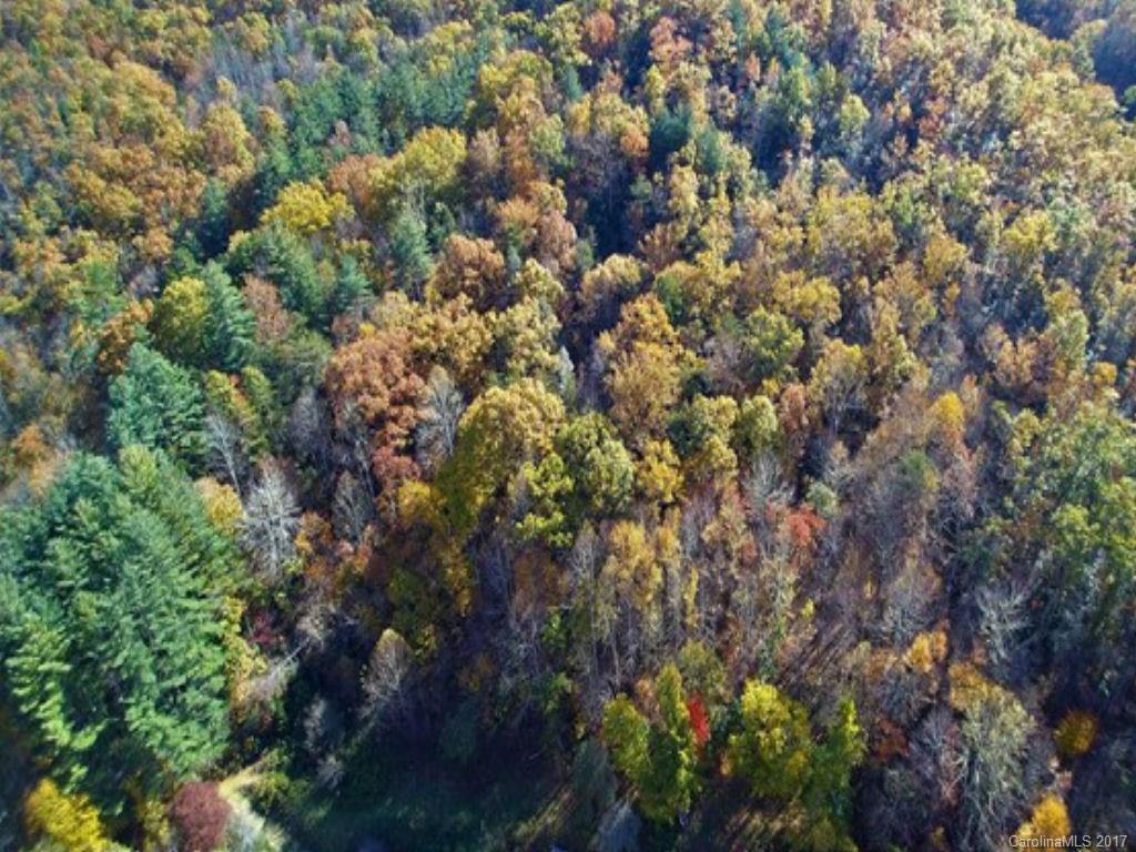 2506 Wayehutta Road Cullowhee, NC 28723 - Photo 3 of 22 Gallery Image 3