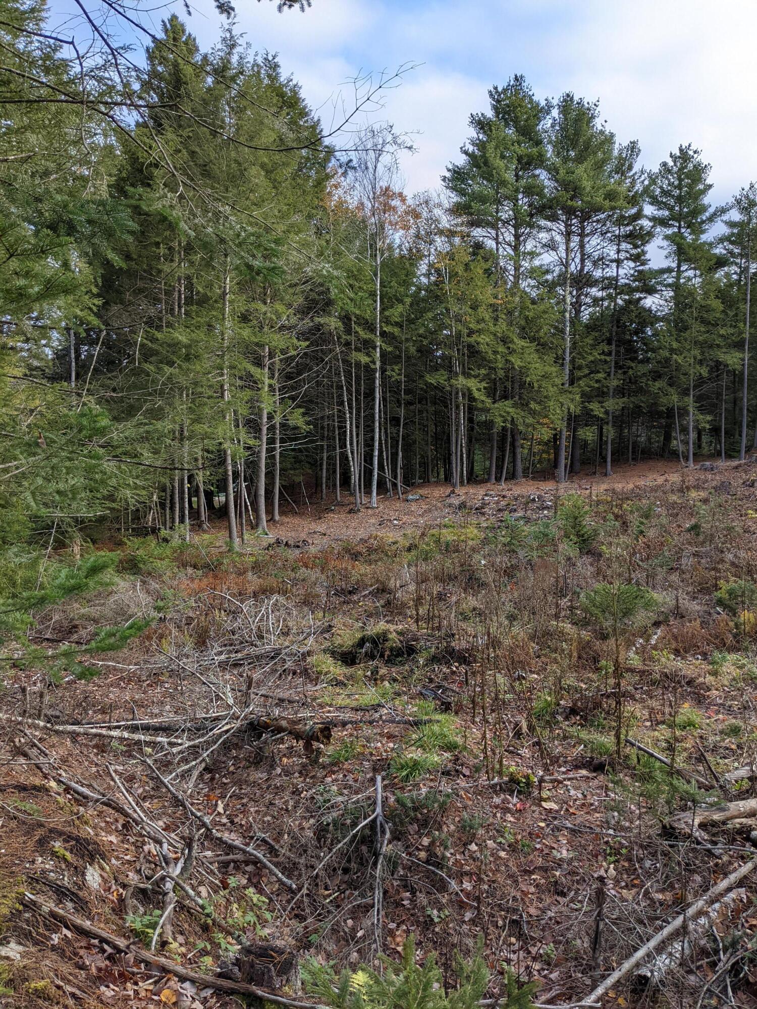 A Collinsbrook Road Brunswick, ME 04011 - Photo 10 of 14 At treelineW to N
