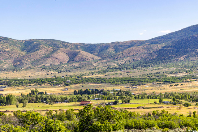 2120 Little Valley Road Wallsburg, UT 84082 - Photo 13 of 50