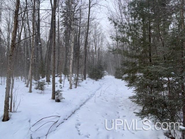 Tbd Rabbit Bay Road Lake Linden, MI 49945 - Photo 9 of 40 Gallery Image 9