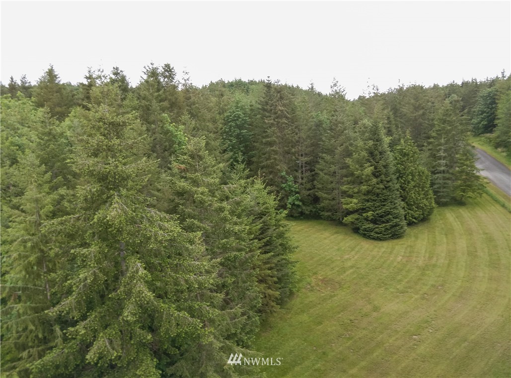 35 Blue Mountain Road Chimacum, WA 98325 - Photo 22 of 24