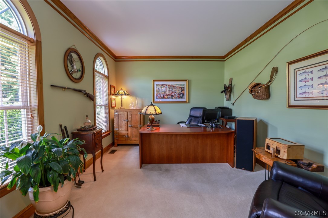 16413 Benmore Road Moseley, VA 23120 - Photo 18 of 49 Gallery Image 18