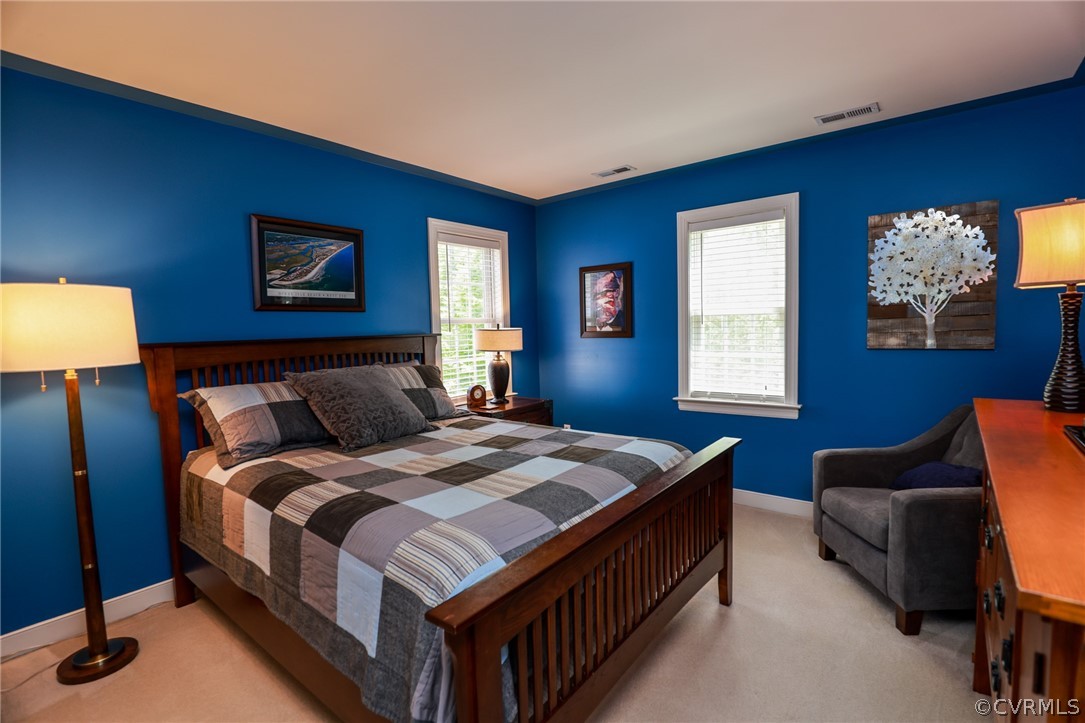 16413 Benmore Road Moseley, VA 23120 - Photo 28 of 49 Gallery Image 28