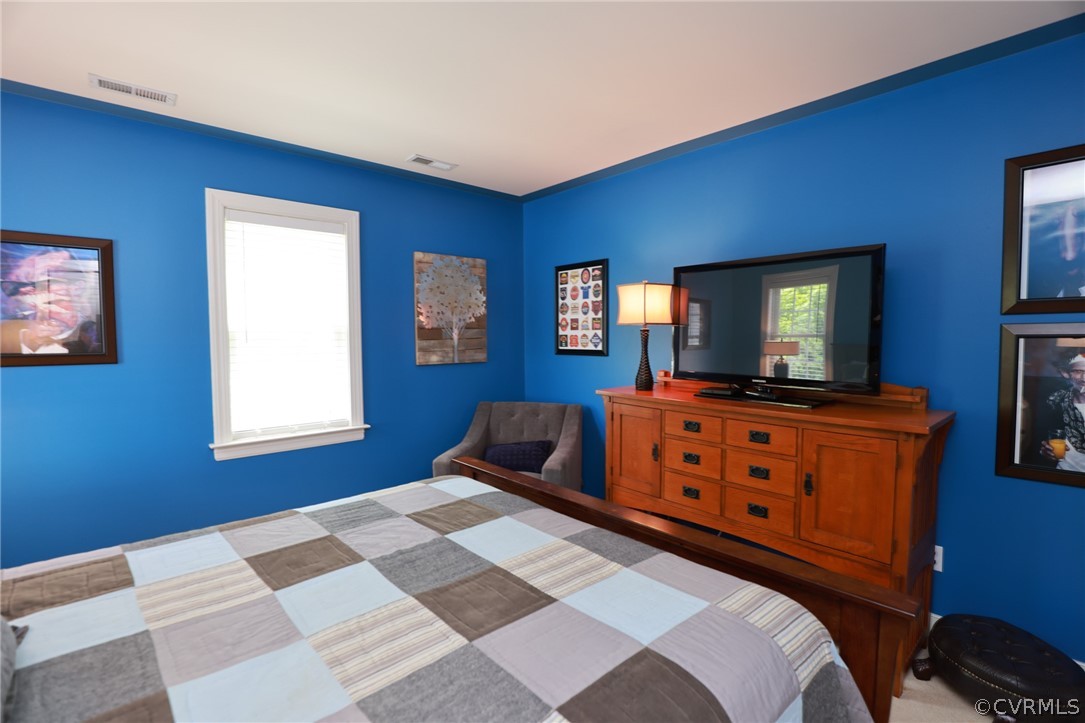 16413 Benmore Road Moseley, VA 23120 - Photo 29 of 49 Gallery Image 29