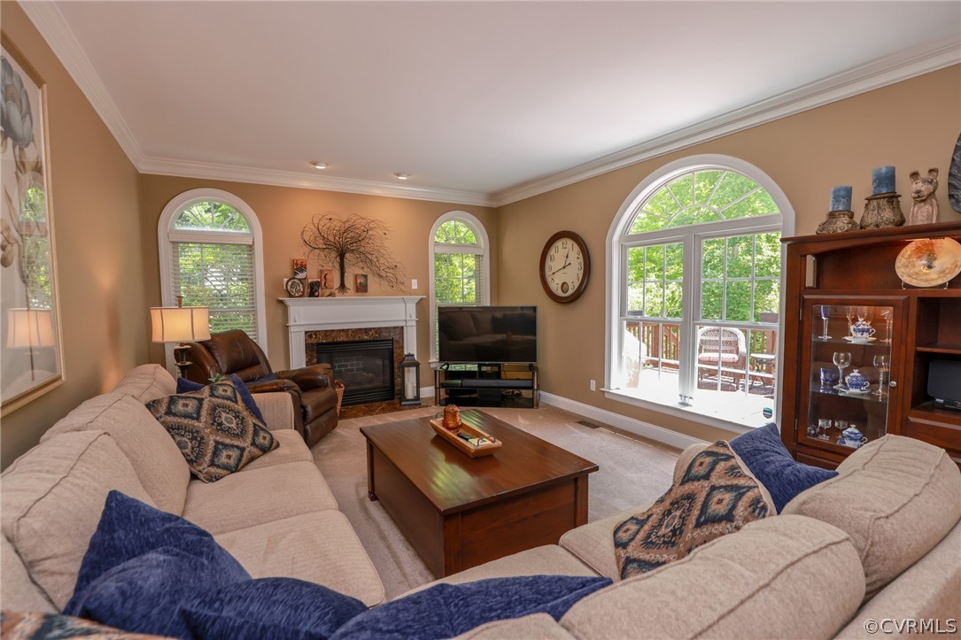 16413 Benmore Road Moseley, VA 23120 - Photo 8 of 49 Gallery Image 8
