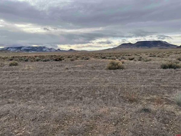 $7,500 | Tbd Tbd Carson Court, Sanford, CO 81151