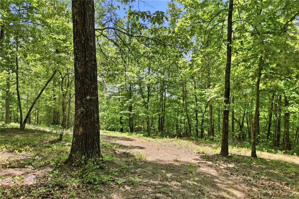 1709 Harrington Road Ball Ground, GA 30107 - Photo 45 of 46 a view of a yard with a tree