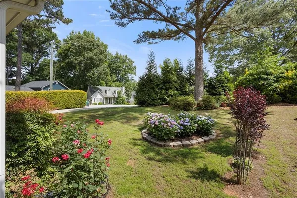 a view of a garden with plants
