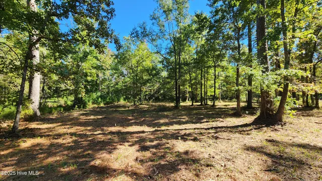 $69,000 | 112 Sandy Point Drive, Beaufort, NC 28516