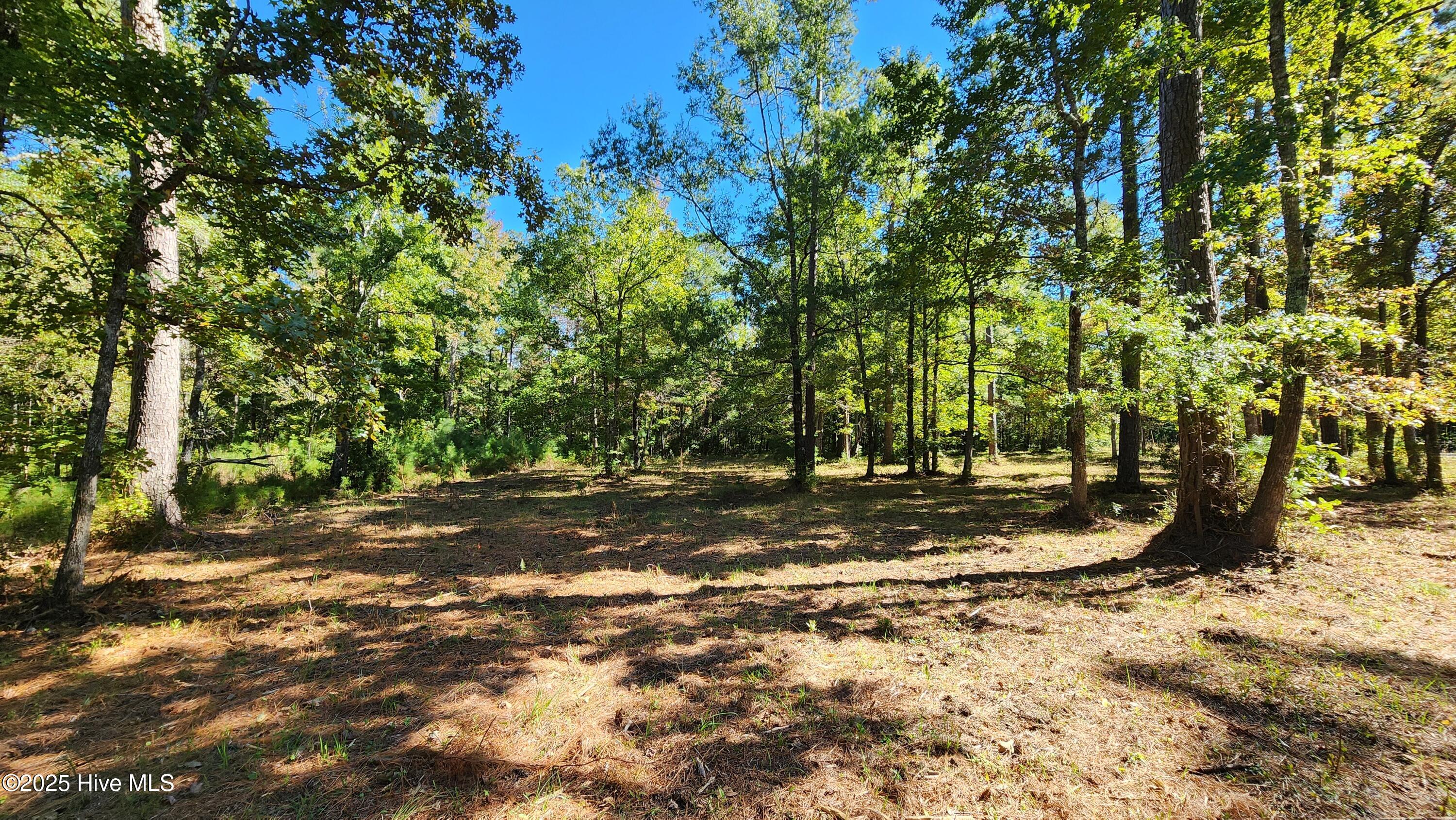 112 Sandy Point Drive Beaufort, NC 28516 - Photo 2 of 27 20241018_135457