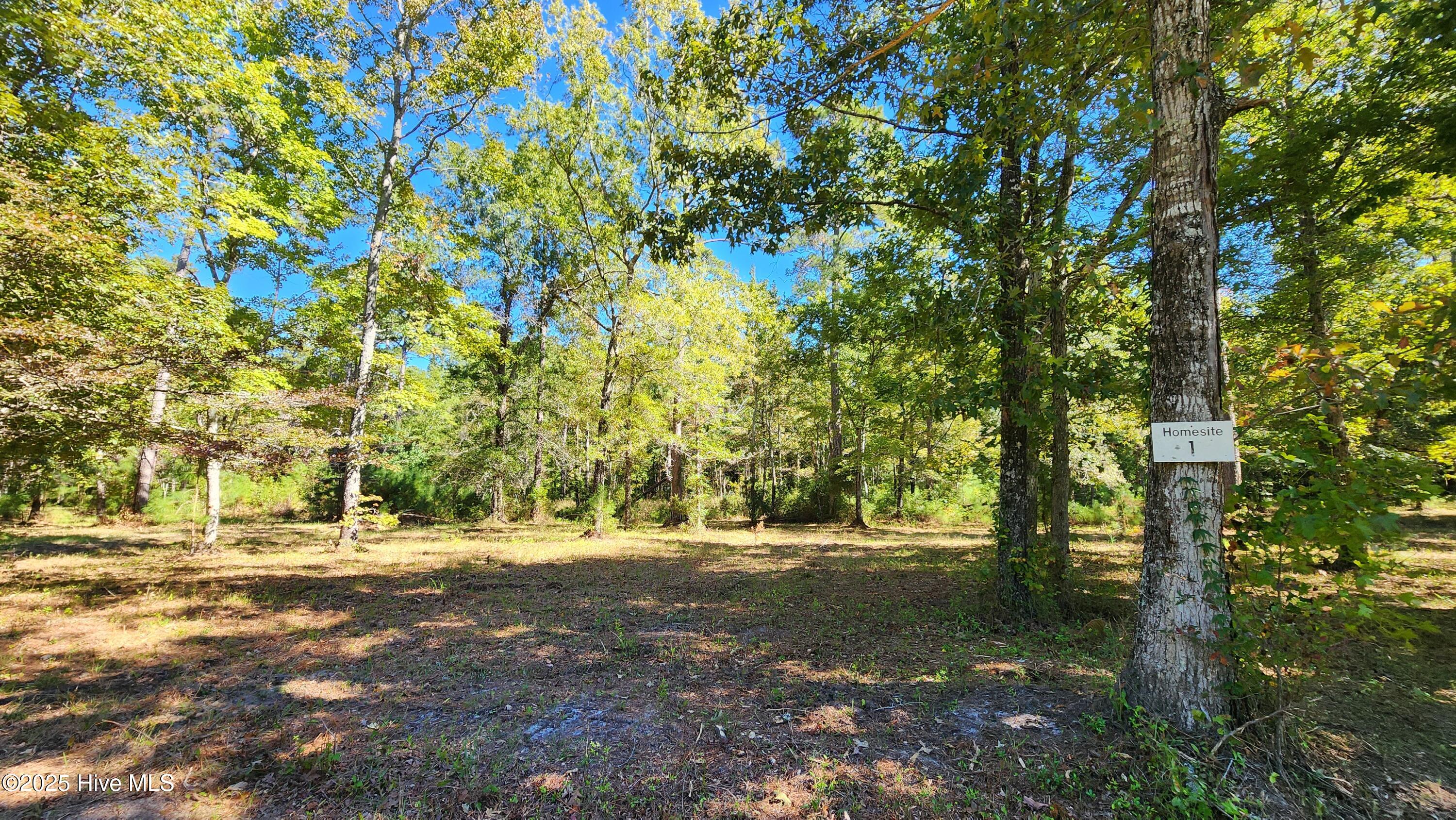112 Sandy Point Drive Beaufort, NC 28516 - Photo 23 of 27 20241018_135354