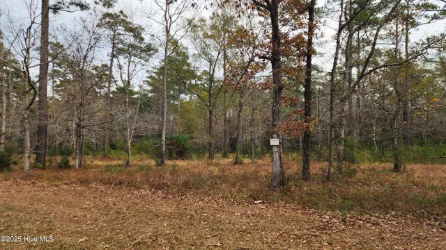 $69,000 | 112 Sandy Point Drive, Beaufort, NC 28516