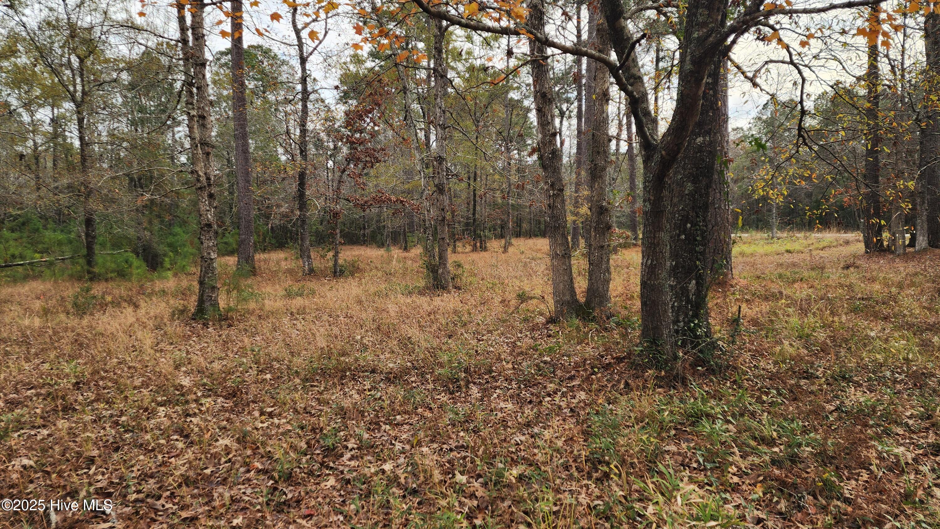 112 Sandy Point Drive Beaufort, NC 28516 - Photo 26 of 27 20251204_125157
