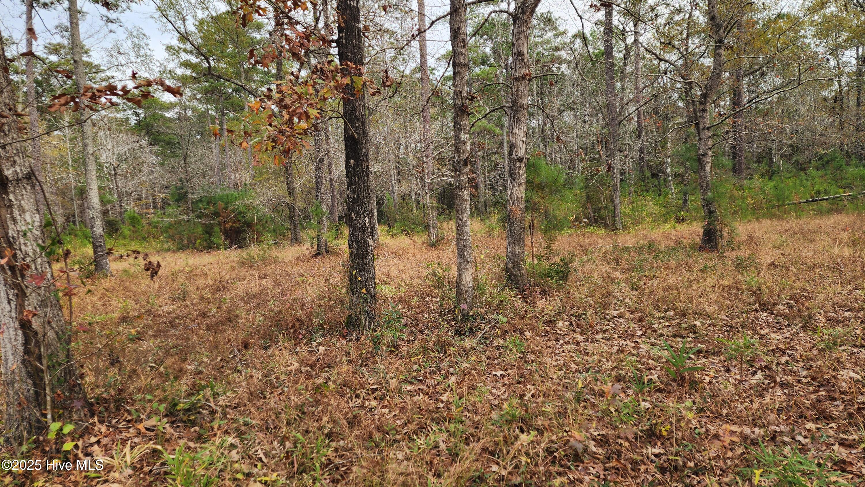 112 Sandy Point Drive Beaufort, NC 28516 - Photo 27 of 27 20251204_125159
