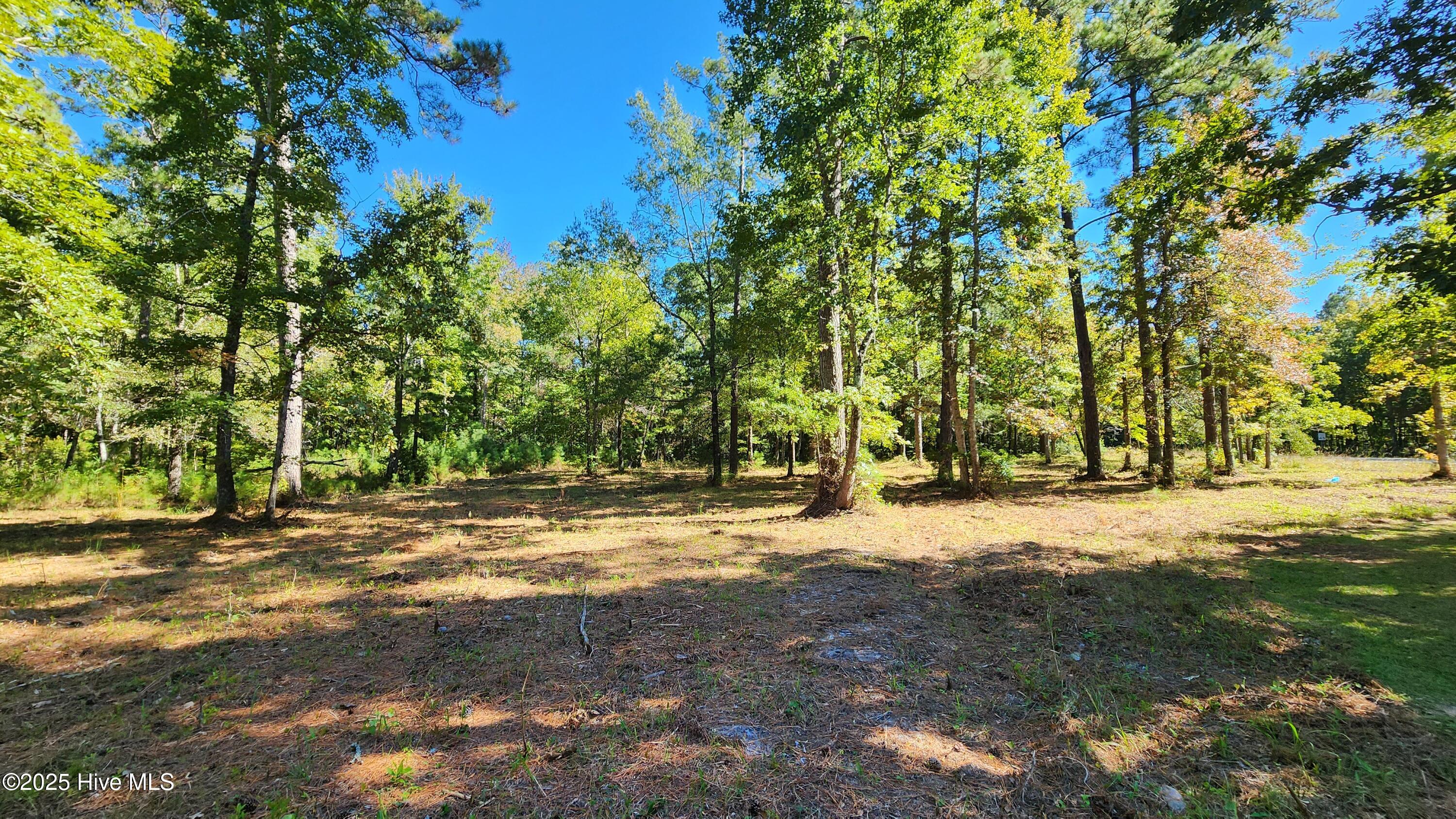 112 Sandy Point Drive Beaufort, NC 28516 - Photo 4 of 27 20241018_135512