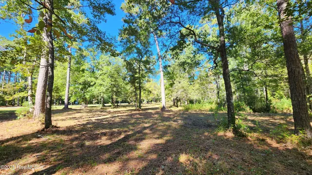 $69,000 | 112 Sandy Point Drive, Beaufort, NC 28516