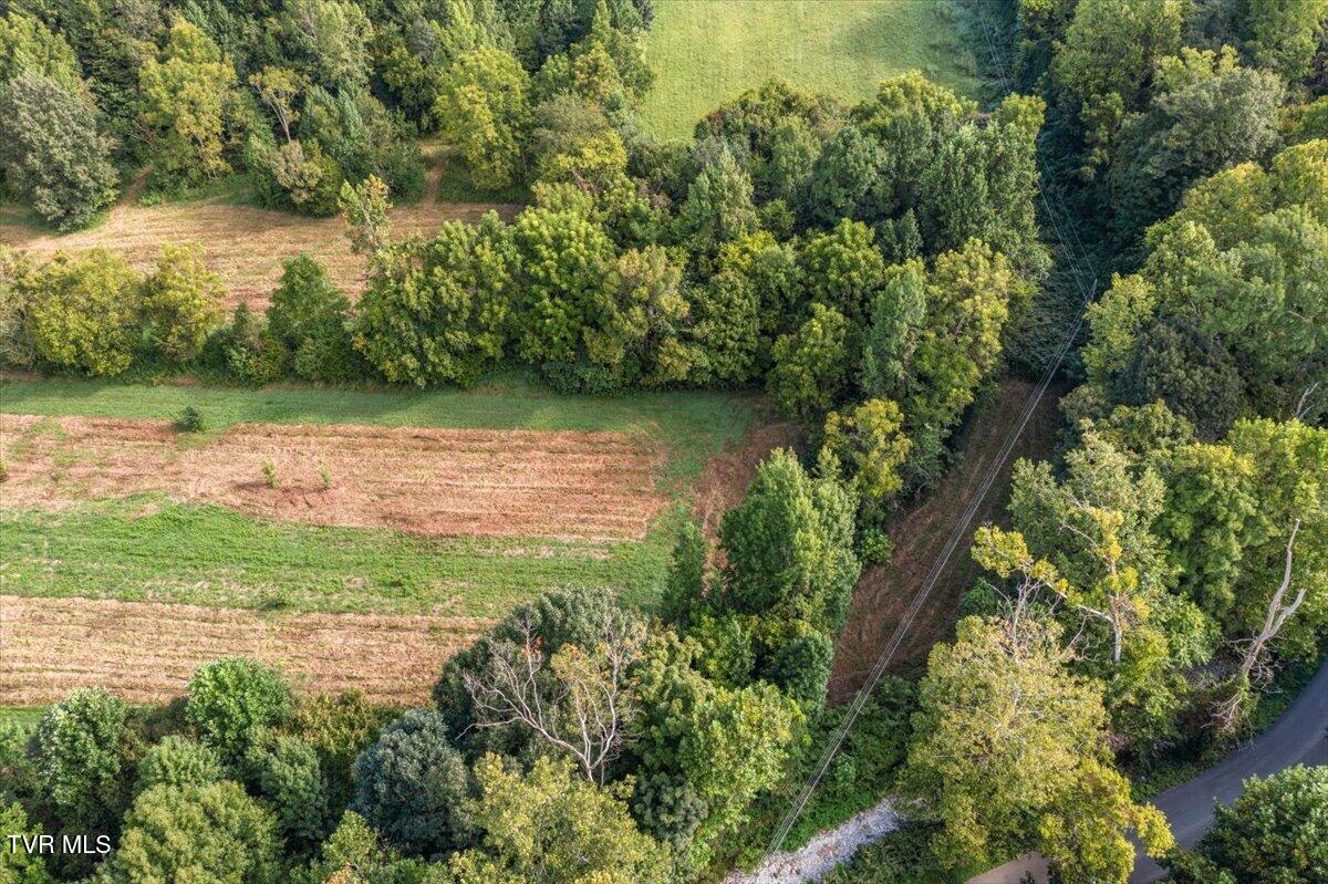 Tbd Little Cassi Creek Road, Unit 3 Chuckey, TN 37641 - Photo 13 of 17 13-DJI_0118