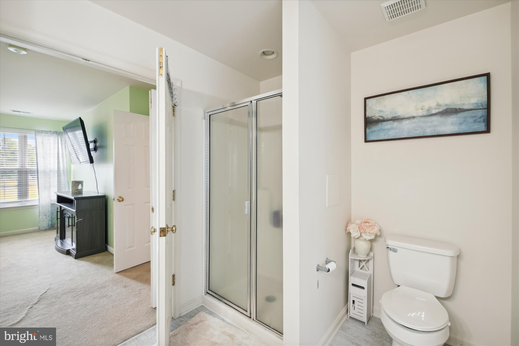 8680 Shadow Lane Delmar, MD 21875 - Photo 18 of 29 Primary Bath