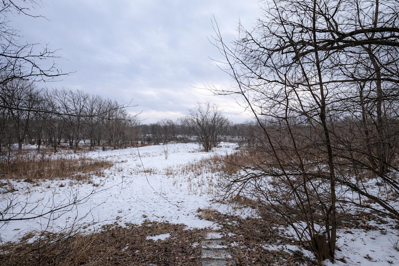 2619 Riverside Drive Lake Station, IN 46405 - Photo 21 of 21 a view of covered with snow