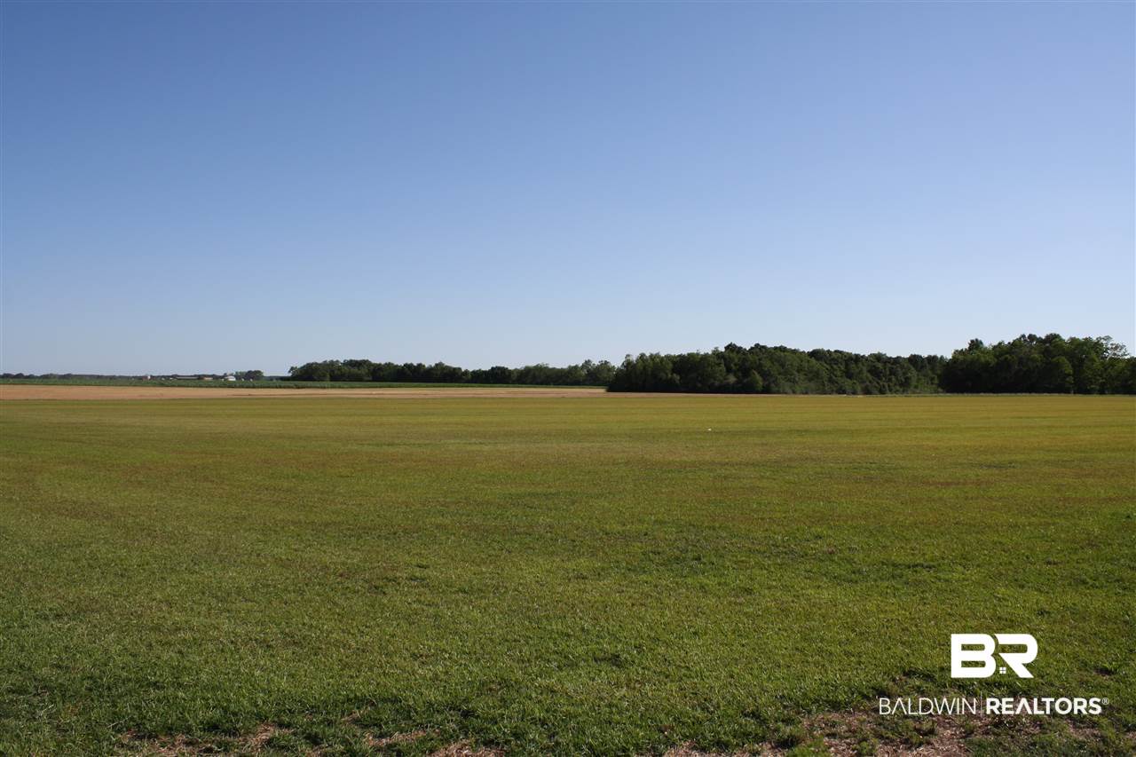 0 Vernant Park Road Foley, AL 36535 - Photo 4 of 20