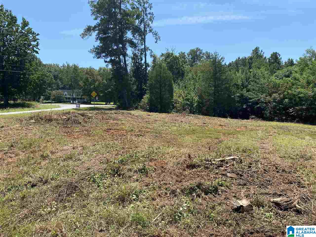 989 State Farm Road Alexandria, AL 36250 - Photo 2 of 7