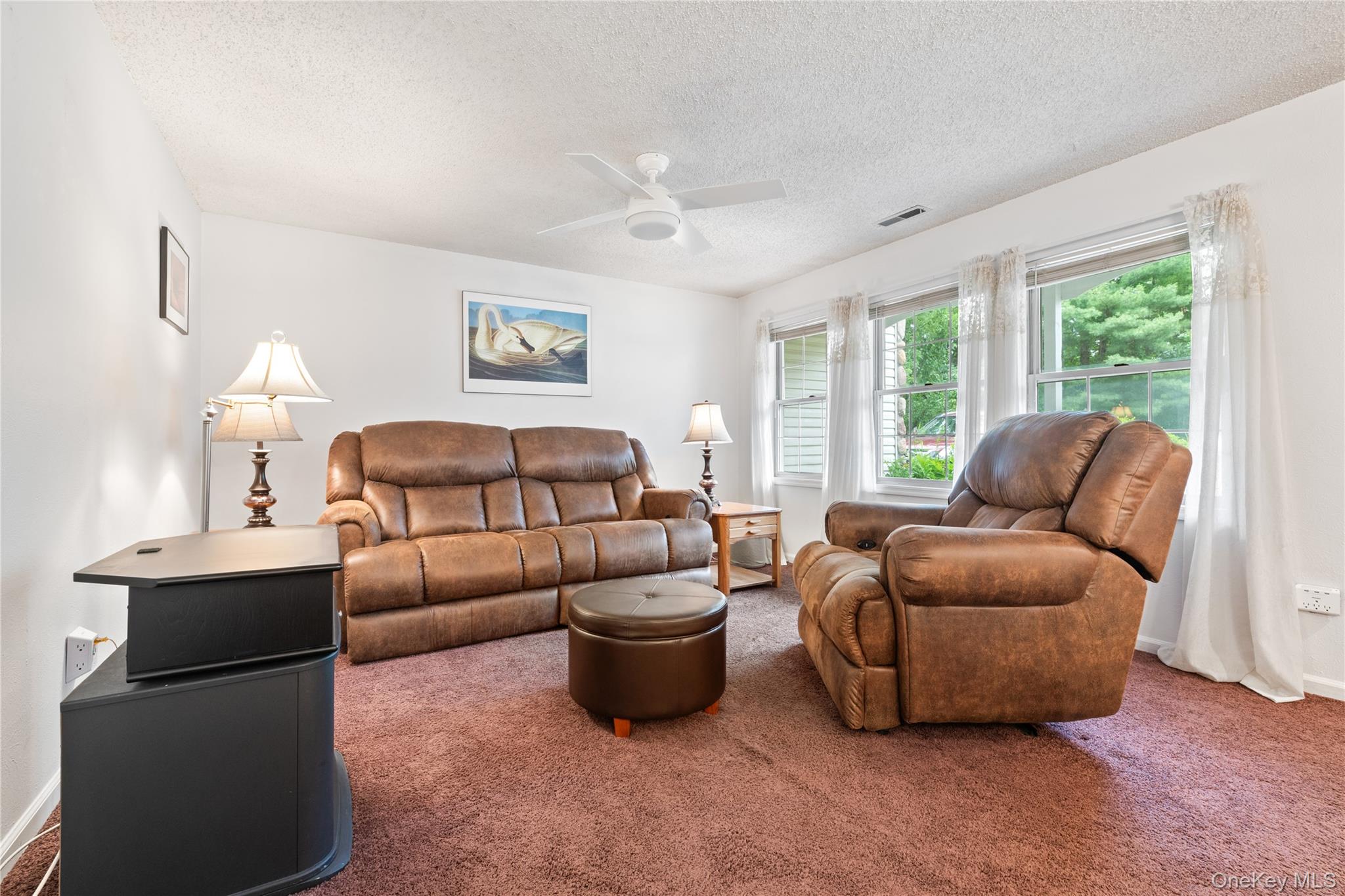 5 Spruce Ridge Drive, Unit 5 Fishkill, NY 12524 - Photo 4 of 28