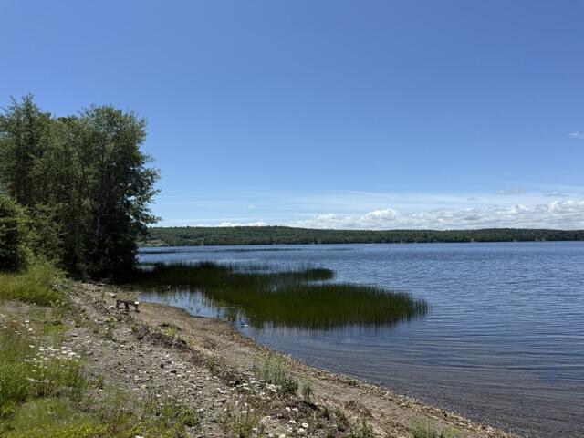 Lot 5-10 Charlotte Road Charlotte, ME 04666 - Photo 24 of 24 IMG_1709 (1)