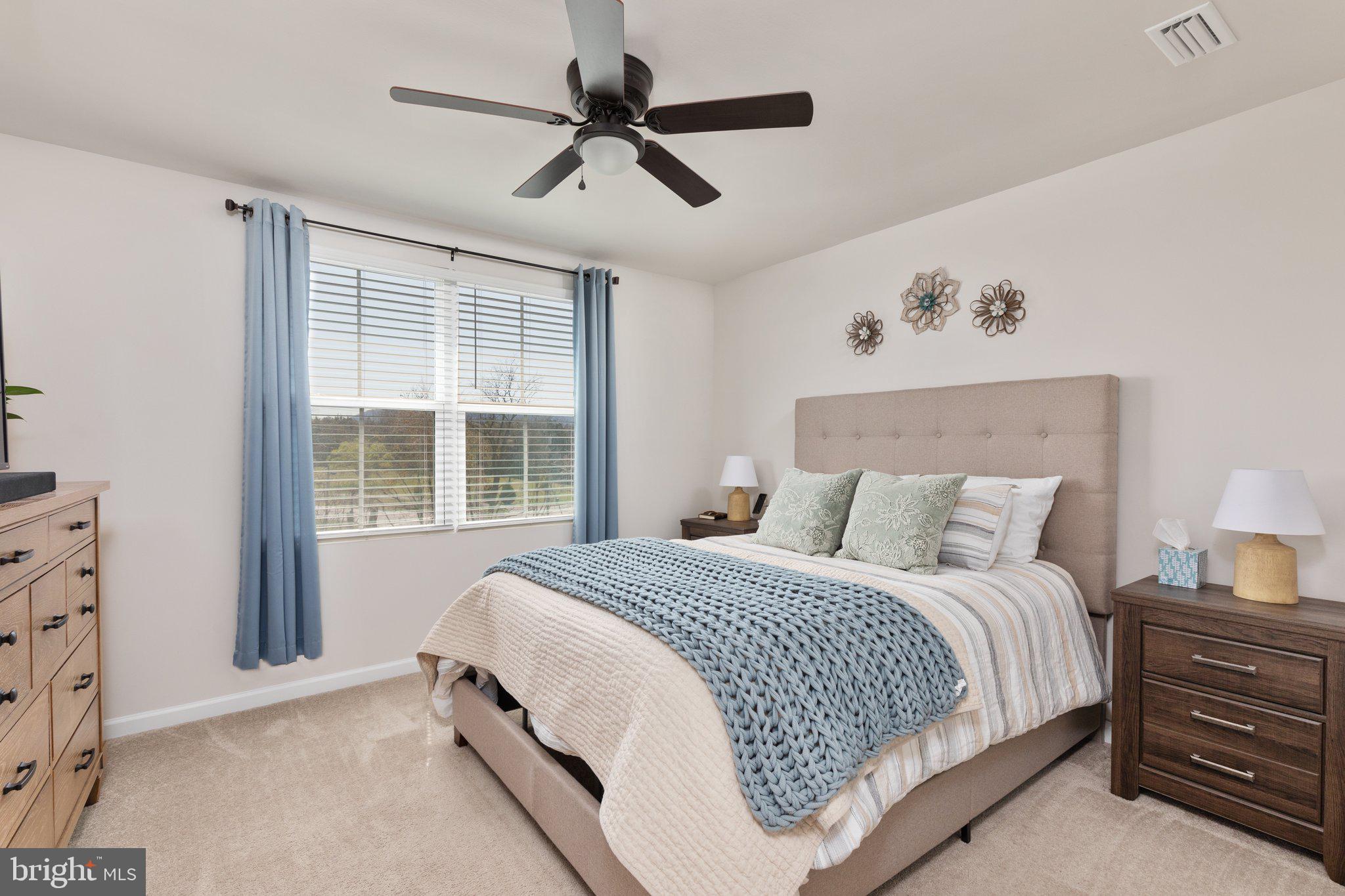 101 Williams Street Strasburg, VA 22657 - Photo 15 of 21 a bedroom with a large bed and a window