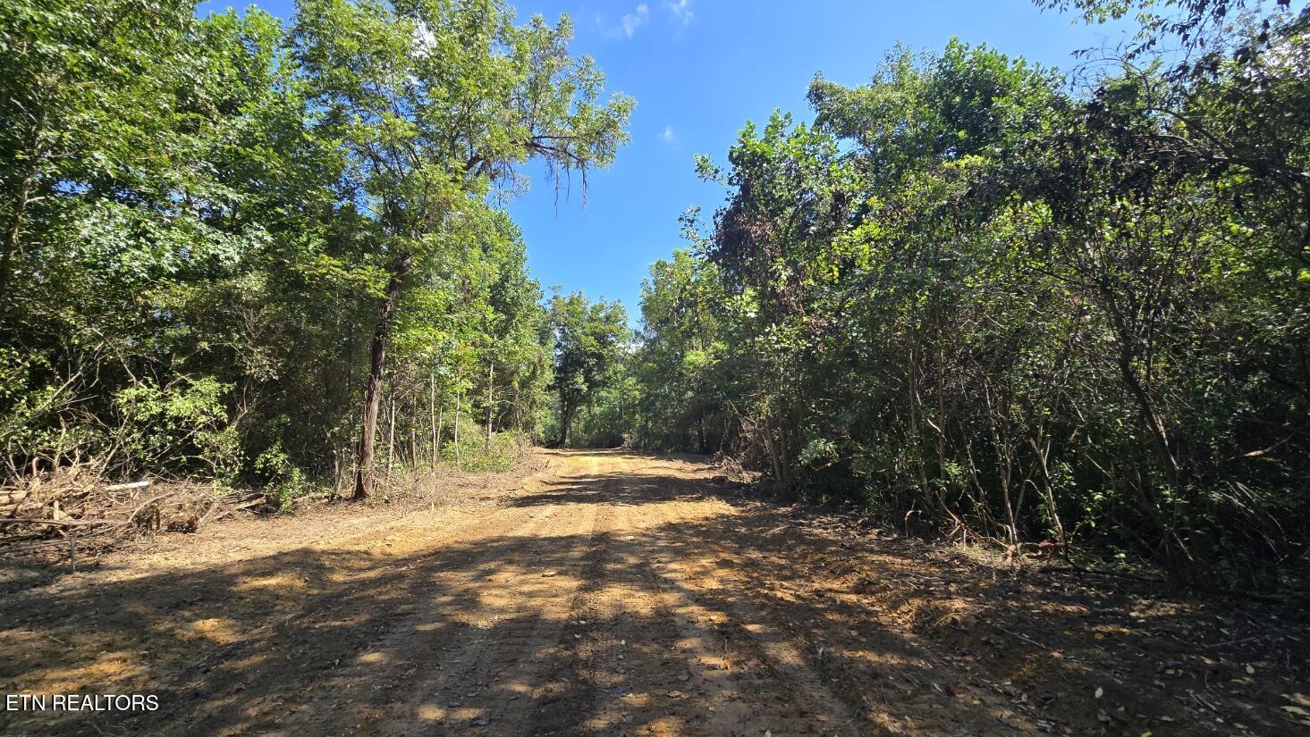 0 New River Road Huntsville, TN 37756 - Photo 1 of 25 5